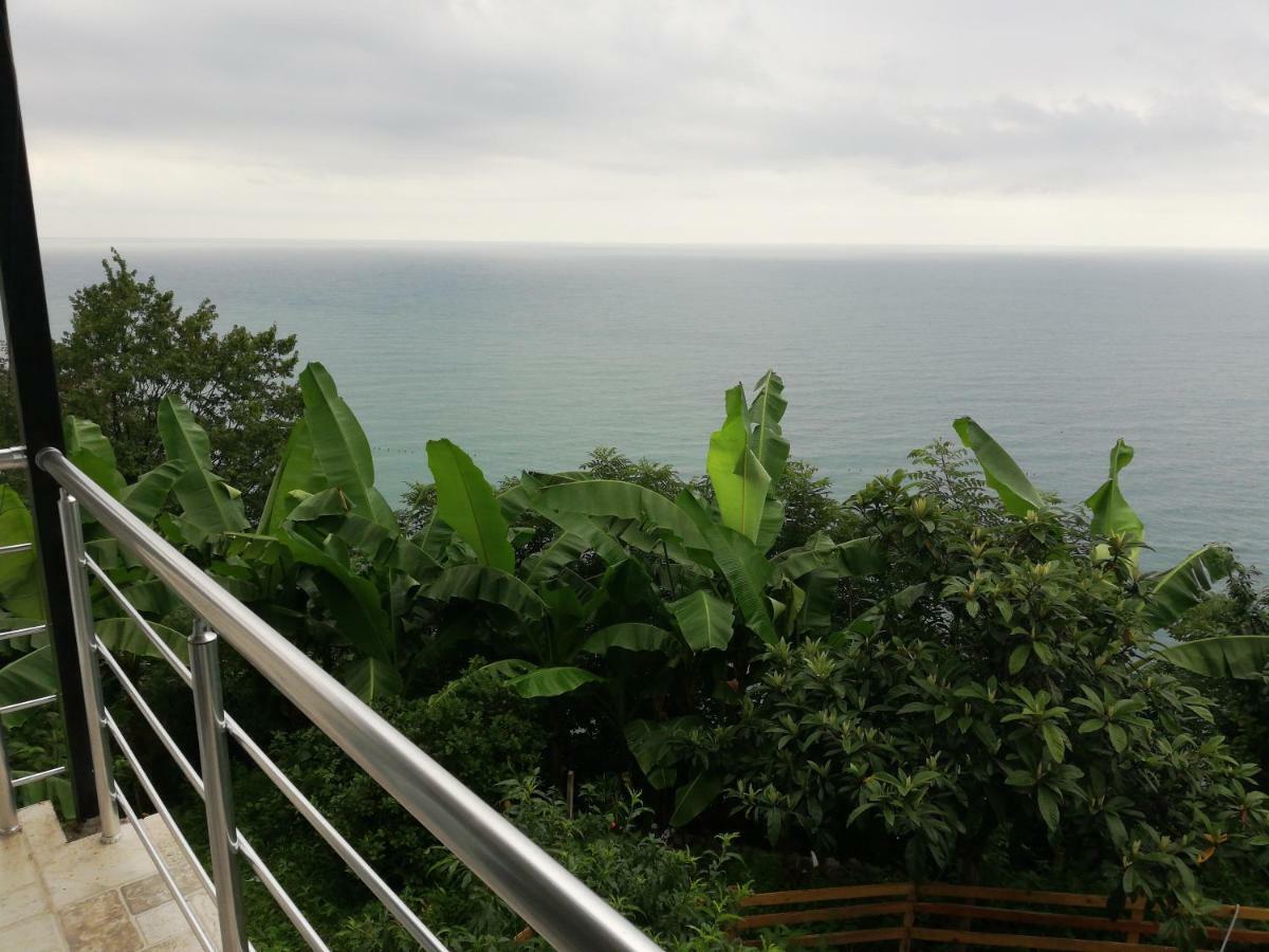 Albatross Kvariati Guest House Exterior foto